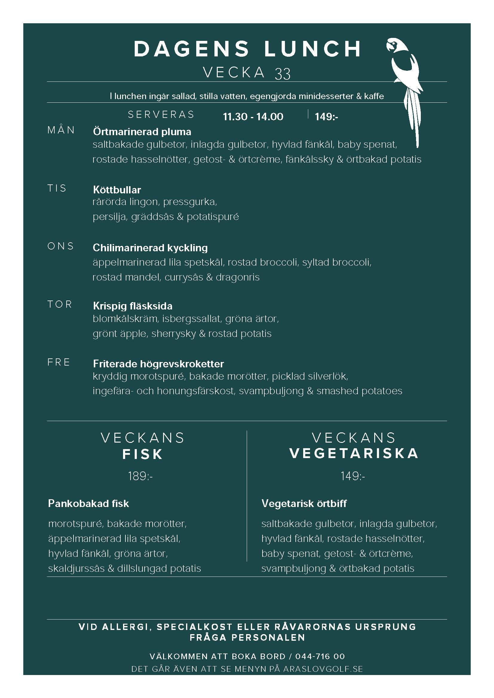DAGENS LUNCH V33 JPG (3)